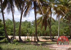 land for sale, waterfront, uvero alto, puntacana, bavaro, frente a la playa,  se vende, tierra, lote de terreno, dominican republic, republica dominicana.