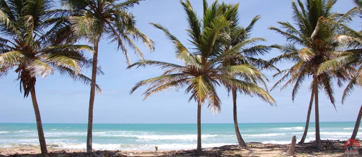 land for sale, waterfront, uvero alto, puntacana, bavaro, frente a la playa,  se vende, tierra, lote de terreno, dominican republic, republica dominicana.