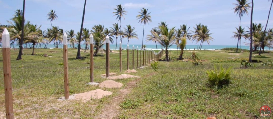 land for sale, waterfront, uvero alto, puntacana, bavaro, frente a la playa,  se vende, tierra, lote de terreno, dominican republic, republica dominicana.