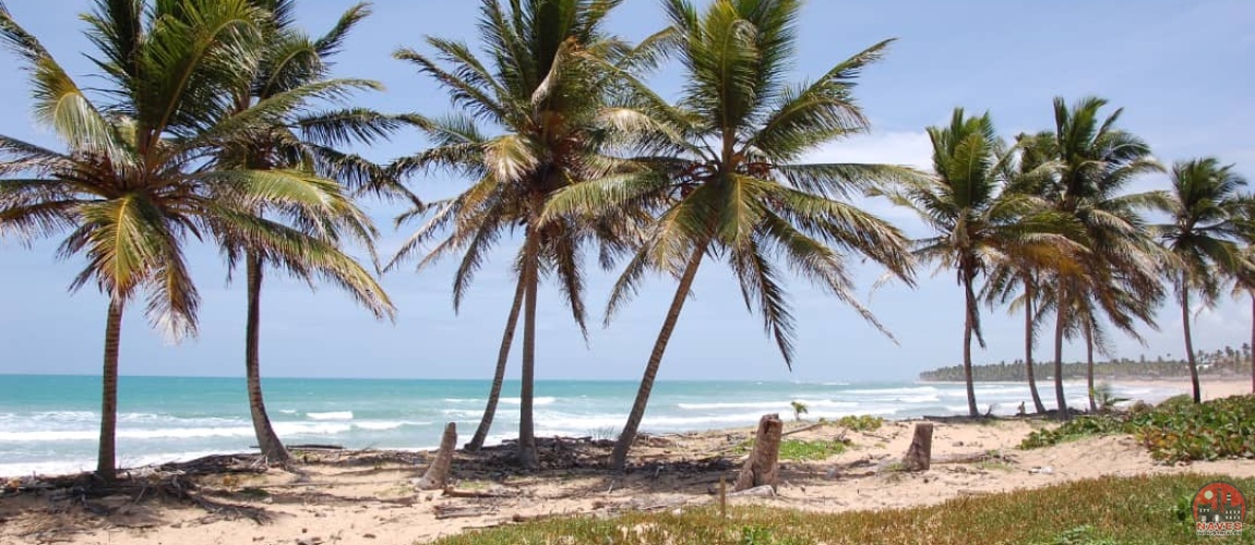 land for sale, waterfront, uvero alto, puntacana, bavaro, frente a la playa,  se vende, tierra, lote de terreno, dominican republic, republica dominicana.