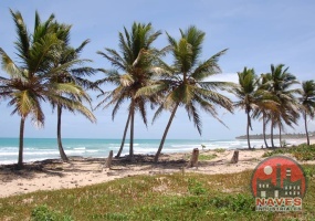 land for sale, waterfront, uvero alto, puntacana, bavaro, frente a la playa,  se vende, tierra, lote de terreno, dominican republic, republica dominicana.