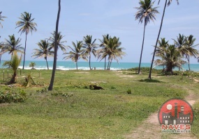 land for sale, waterfront, uvero alto, puntacana, bavaro, frente a la playa,  se vende, tierra, lote de terreno, dominican republic, republica dominicana.