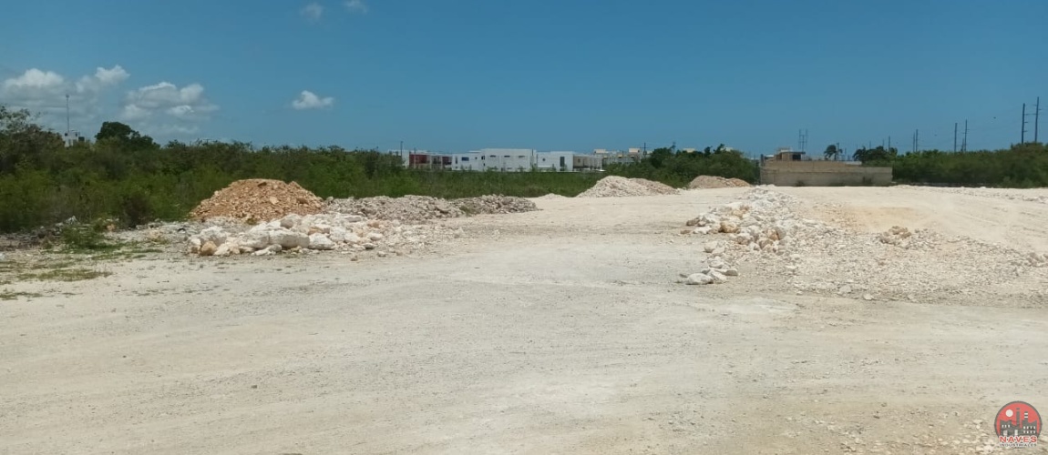 solo naves, nave industrial en alquiler, nave industrial en venta, galpon, almacen, bodega, santo domingo este, almacenes en alquiler, terrenos industriales, bodega, warehouse for sale, warehouse for lease, rent, industrial land, alquiler naves industriales, solo naves y solares, free zones, almacén, zona franca, frigorífico, built to suit, docks, industrial park, industrial property for sale and lease, industrial warehouse, naves industriales santo domingo, naves industriales santiago, almacenes en alquiler santo domingo, herrera, industrial land, terreno industrial, industrial park, parque industrial, manoguayabo, luperon, pantoja, autopista duarte, haina, villa juana, autopista las américas, zona franca san isidro, la romana, santiago, villa mella, puerto plata, boca chica, piisa, caucedo, bávaro, puntacana, mercado libre, remax, commercial real estate santo domingo, comercial real estate dominican republic, commercial real estate santiago, bienes raíces comercial santo domingo, bienes raíces comercial república dominicana, puerto plata, san francisco de macorís, san pedro de macorís, bávaro, higuey, off market, asset, investment, investor, interventionist, propiedad para invertir,  newmark commercial realty, Remax, Coldwell Banker, Galpon Comercial, naves industriales RD, alquilo naves industriales, herrera, luperon, manoguayabo, solo naves, propiedades en renta en RD, rent a home in DR 