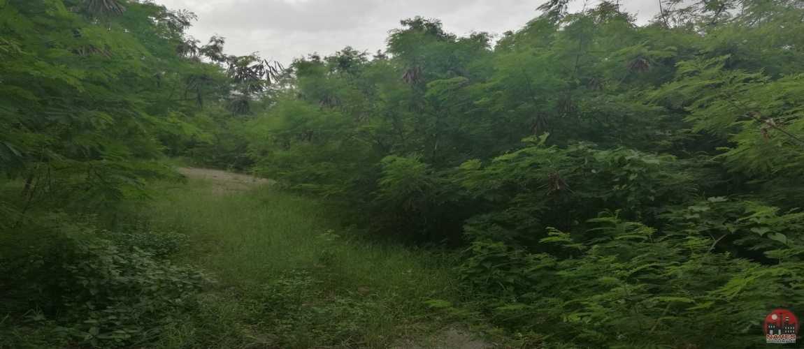 boca chica, land for sale, tierra, waterfront, autopista duarte, santo domingo, dominican republic, lotes, terreno, projecto, project