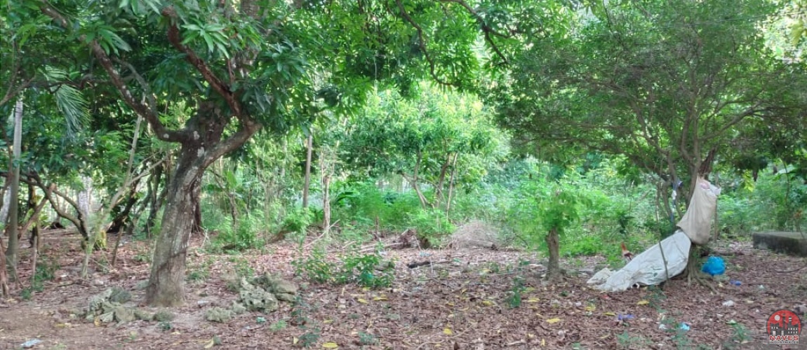 land, terreno, lote, cabrera, ocean front, rio san juan, puerto plata, sosua