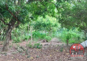 land, terreno, lote, cabrera, ocean front, rio san juan, puerto plata, sosua