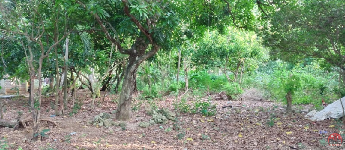 land, terreno, lote, cabrera, ocean front, rio san juan, puerto plata, sosua