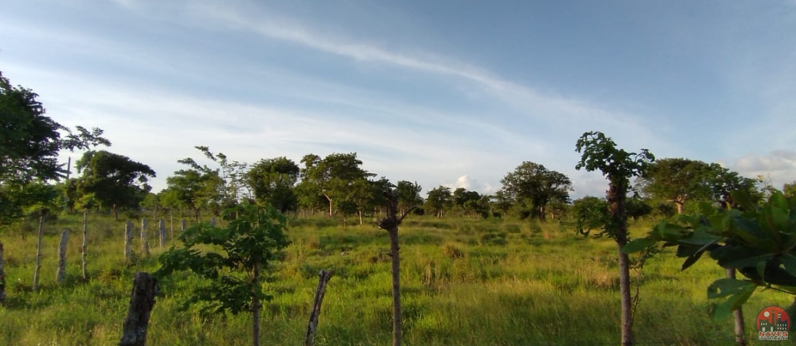 land, terreno, lote, cabrera, ocean front, rio san juan, puerto plata, sosua