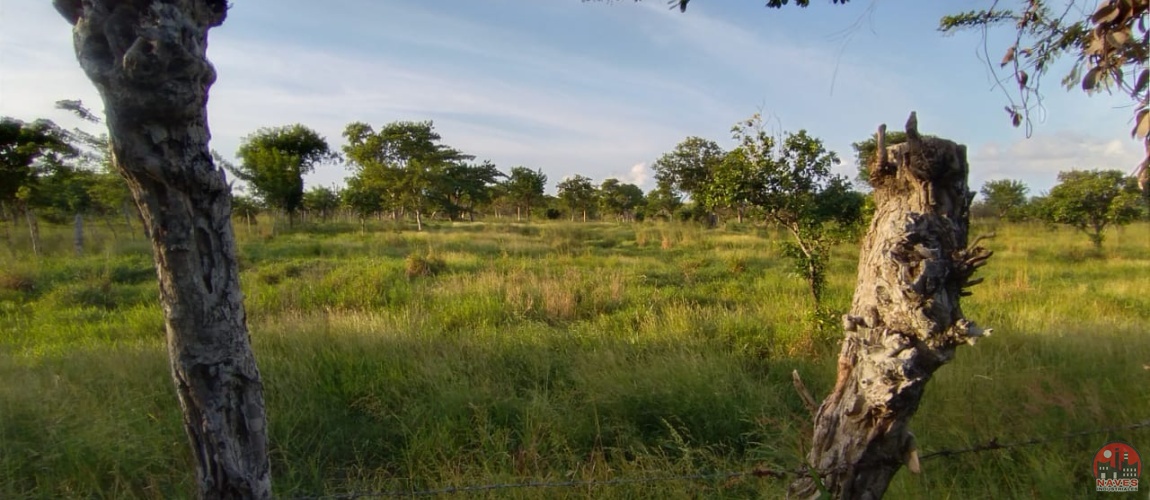 land, terreno, lote, cabrera, ocean front, rio san juan, puerto plata, sosua